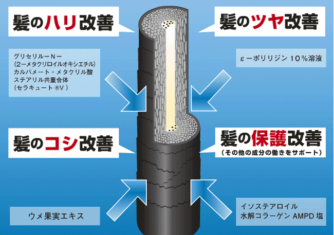 ヘアリプロに効果はあるのか？副作用の実態は？