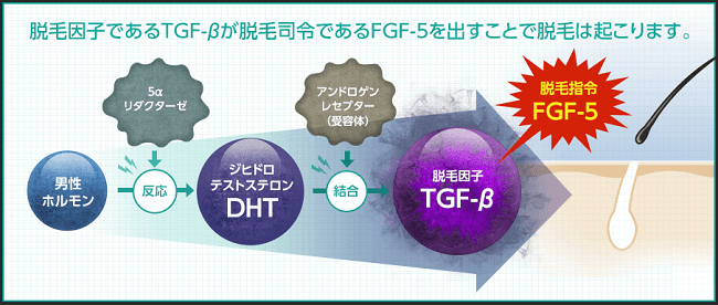 【M字ハゲに朗報】プランテルよりイクオスが生え際に効く！？